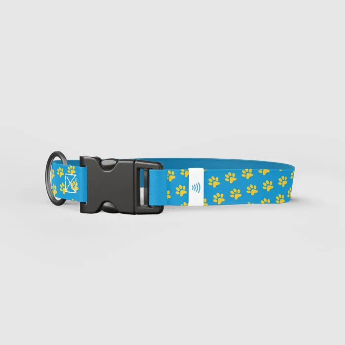 postage stamp image