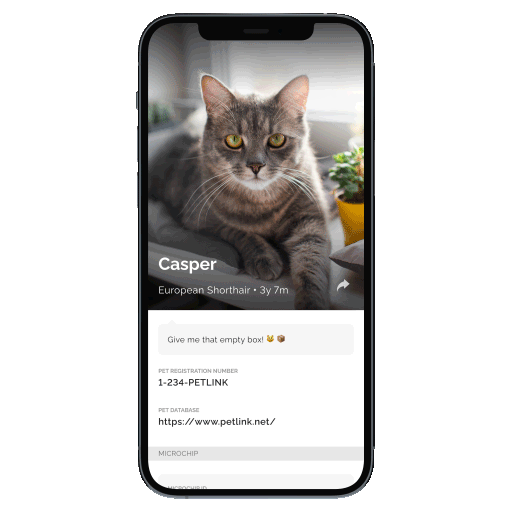 e-video activation
